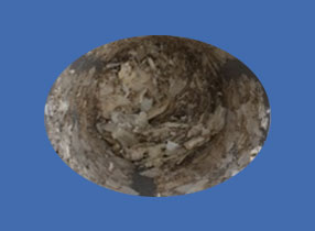 image_not_found