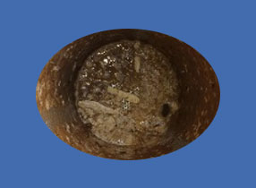 image_not_found
