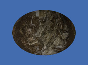 image_not_found