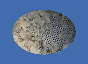 image_not_found