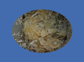 image_not_found
