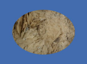 image_not_found