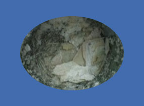 image_not_found